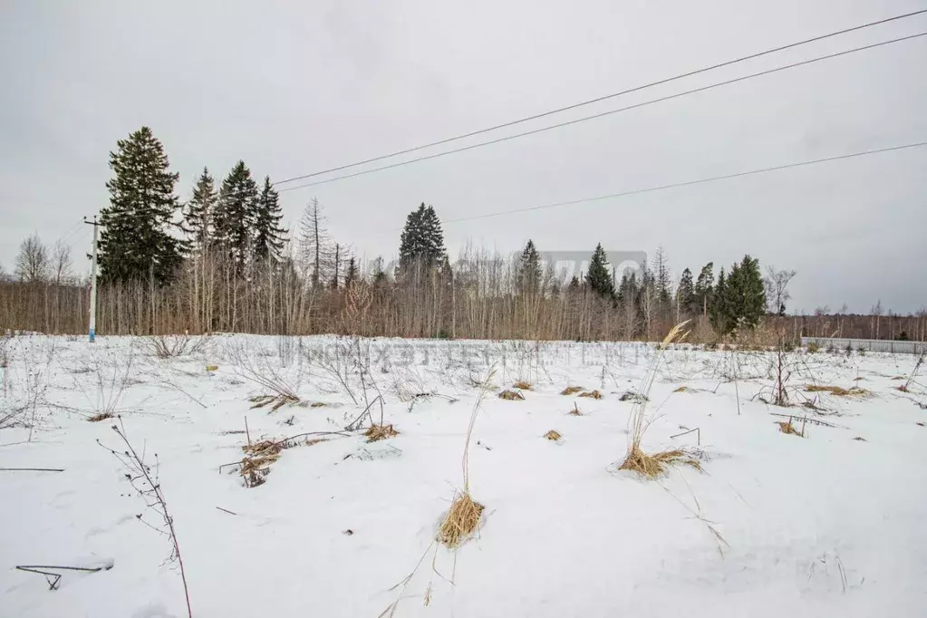 Участок в Московская область, Клин городской округ, Акатово-Парк кп ... - Фото 0