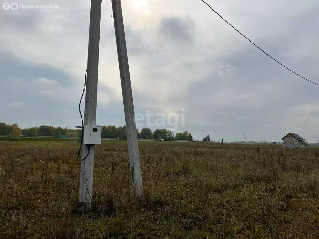 Участок в Павловский район, ДНТ п. Молодёжный (10 м) - Фото 1