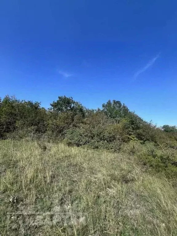 Участок в Краснодарский край, Новороссийск городской округ, с. ... - Фото 1