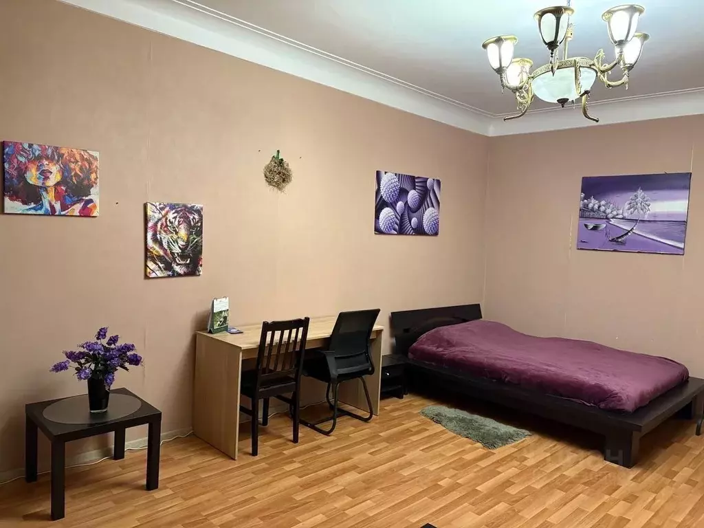 1-к кв. Санкт-Петербург Прачечный пер., 3 (45.0 м) - Фото 1