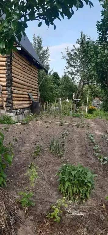 Дом в Владимирская область, Собинский муниципальный округ, Исток-3 СНТ ... - Фото 2