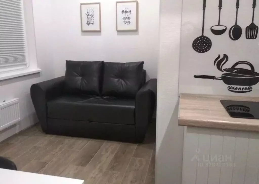 Студия Московская область, Одинцово ул. Каштановая, 8 (15.0 м) - Фото 2