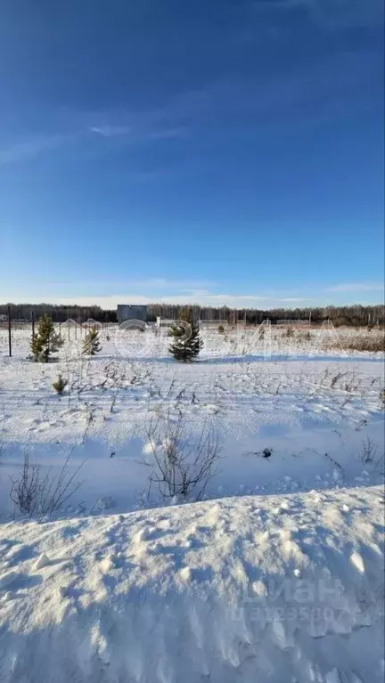 Участок в Тюменская область, Тюменский район, с. Кулига, Кулига-2 мкр  ... - Фото 1