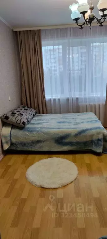 1-к кв. Псковская область, Псковский район, Завеличенская волость, д. ... - Фото 2