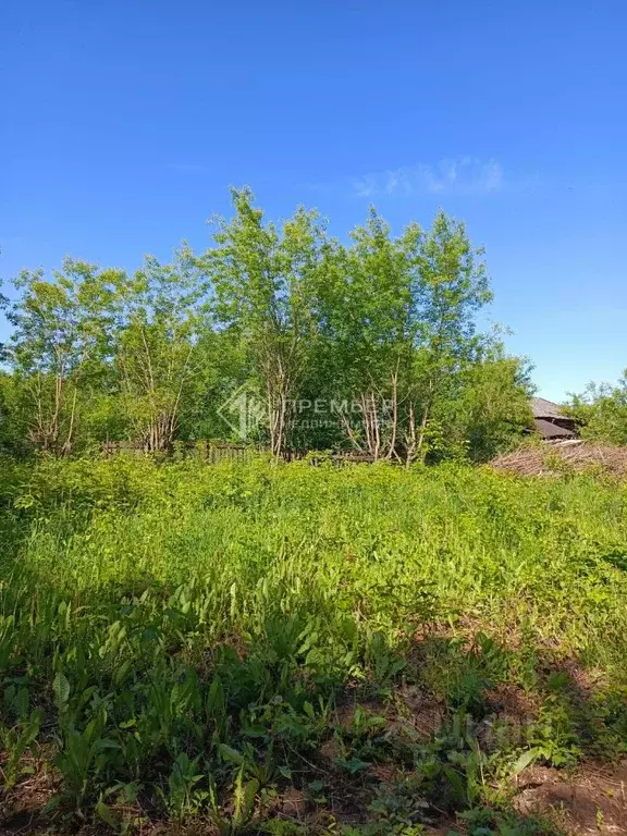 Участок в Кировская область, Слободской Октябрьская ул., 36 (14.0 ... - Фото 1