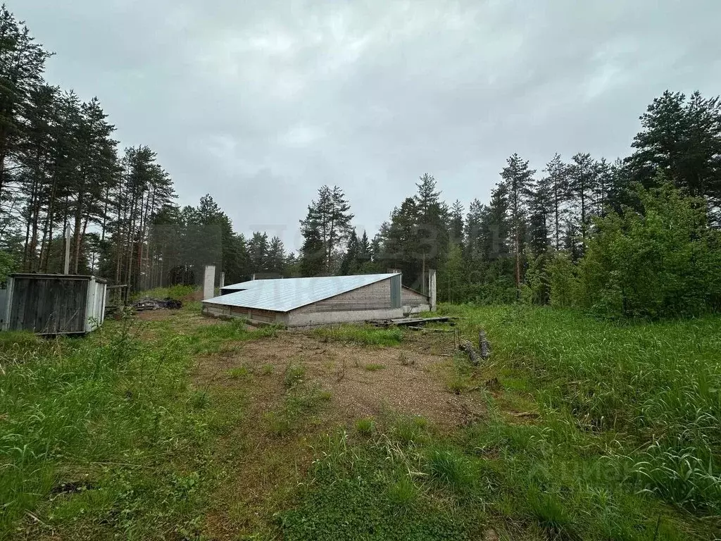 Участок в Новгородская область, Окуловка ул. Кропоткина (50.0 сот.) - Фото 1