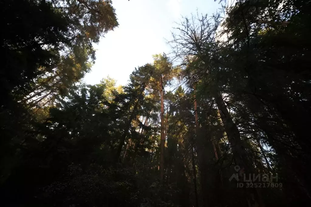 3-к кв. Московская область, Балашиха Кучино мкр, ул. Соловьева, 7 ... - Фото 2