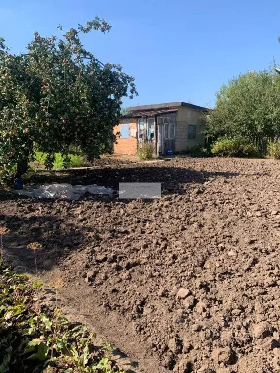 Дом в Тульская область, Щекинский район, Яснополянское с/пос, ... - Фото 2