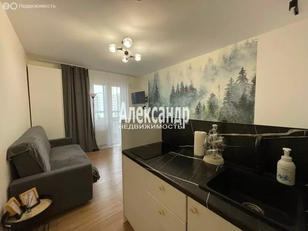 Квартира-студия: Санкт-Петербург, набережная реки Каменки, 19к3 (20 м) - Фото 1