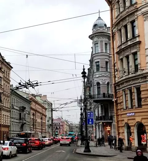 Помещение свободного назначения в Санкт-Петербург Невский просп., 140 ... - Фото 2