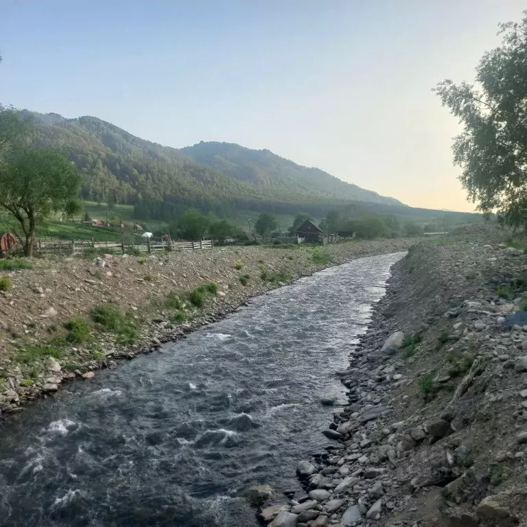 Участок в Алтайский край, Чарышский район, с. Сентелек ул. Солнечная, ... - Фото 1
