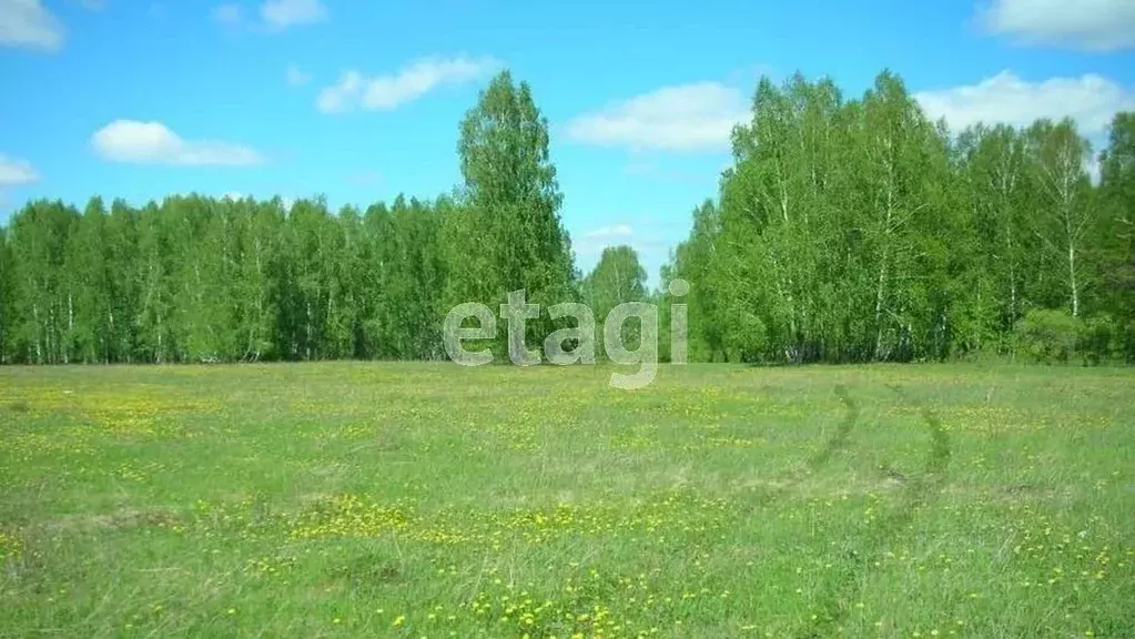 Участок в Ярославская область, с. Большое  (98.54 сот.) - Фото 0