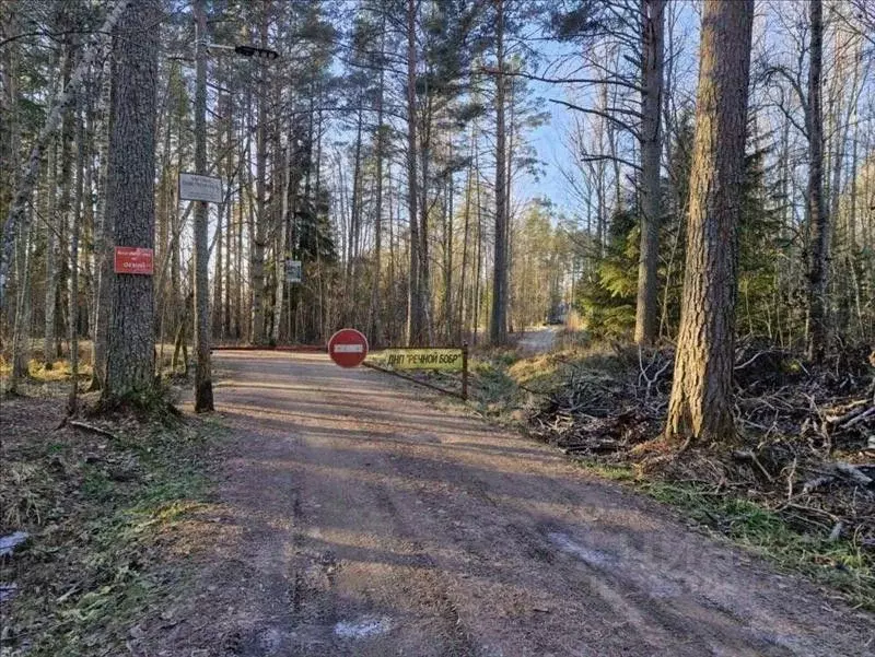 Участок в Ленинградская область, Лужский район, Толмачевское городское ... - Фото 1