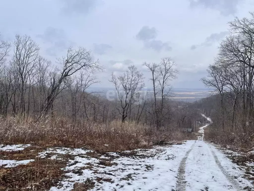 Участок в Приморский край, Надеждинский район, Кварц СТ ул. Янтарная, ... - Фото 0