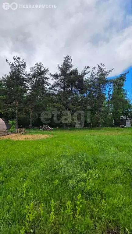 Участок в деревня Кривцово, Окольная улица (10.7 м) - Фото 2