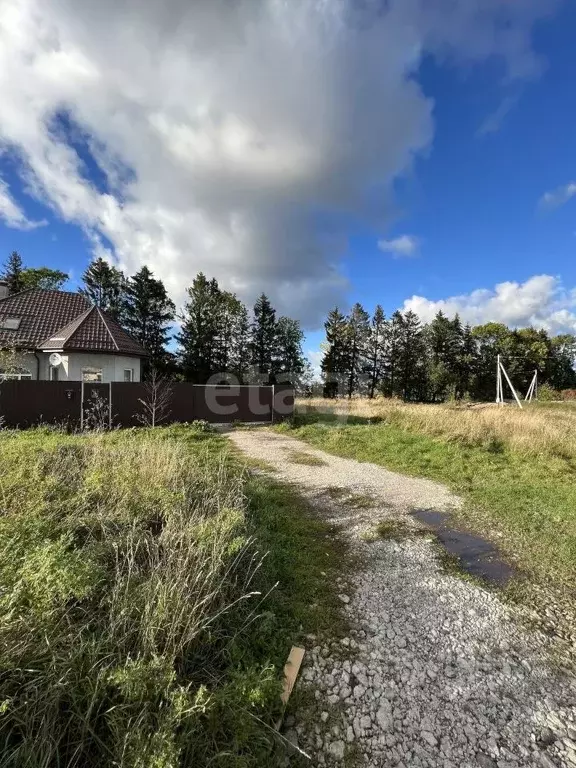 Участок в Калининградская область, Светлогорск Садовая ул. (7.0 сот.) - Фото 1