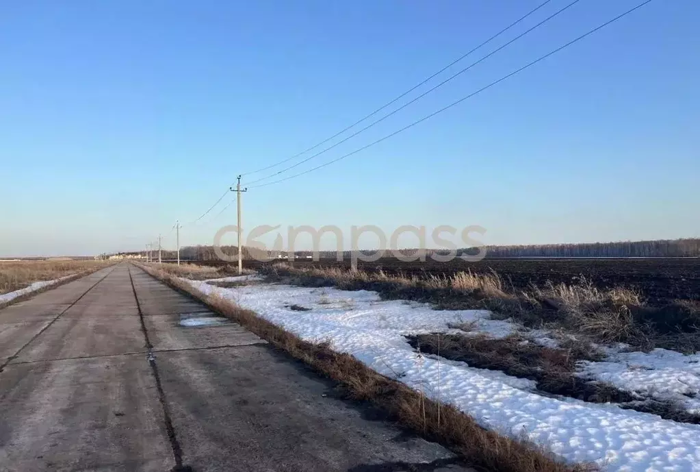 Участок в Тюменская область, Тюменский район, с. Кулаково  (13.0 сот.) - Фото 0