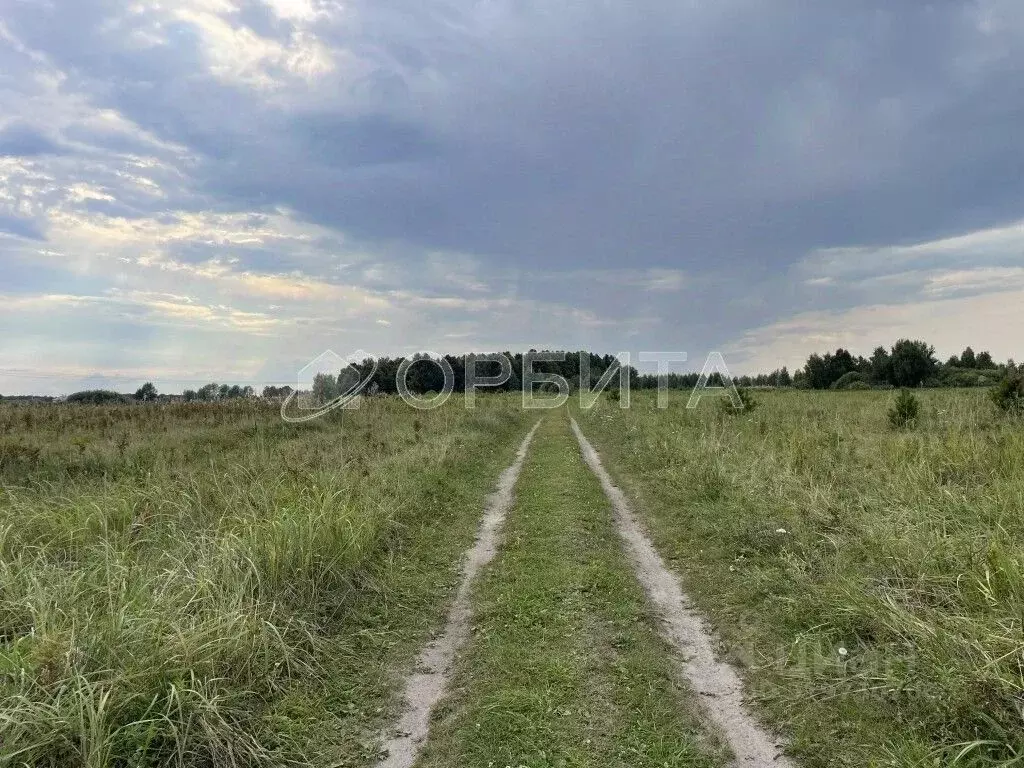 Участок в Тюменская область, Тюмень Лаванда садовое товарищество,  ... - Фото 1