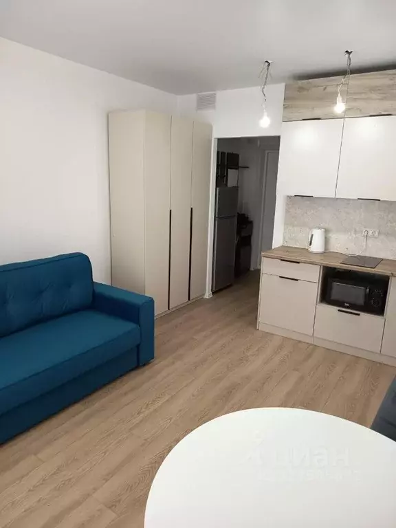 Студия Московская область, Котельники Парковый мкр, 11 (21.5 м) - Фото 2