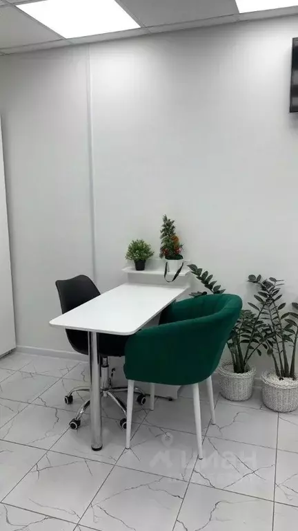 Помещение свободного назначения в Новосибирская область, Новосибирск ... - Фото 1