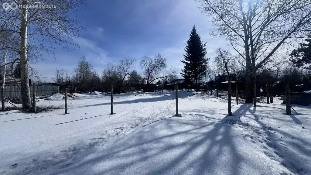 Участок в Баклашинское муниципальное образование, посёлок Пионерск (9 ... - Фото 1