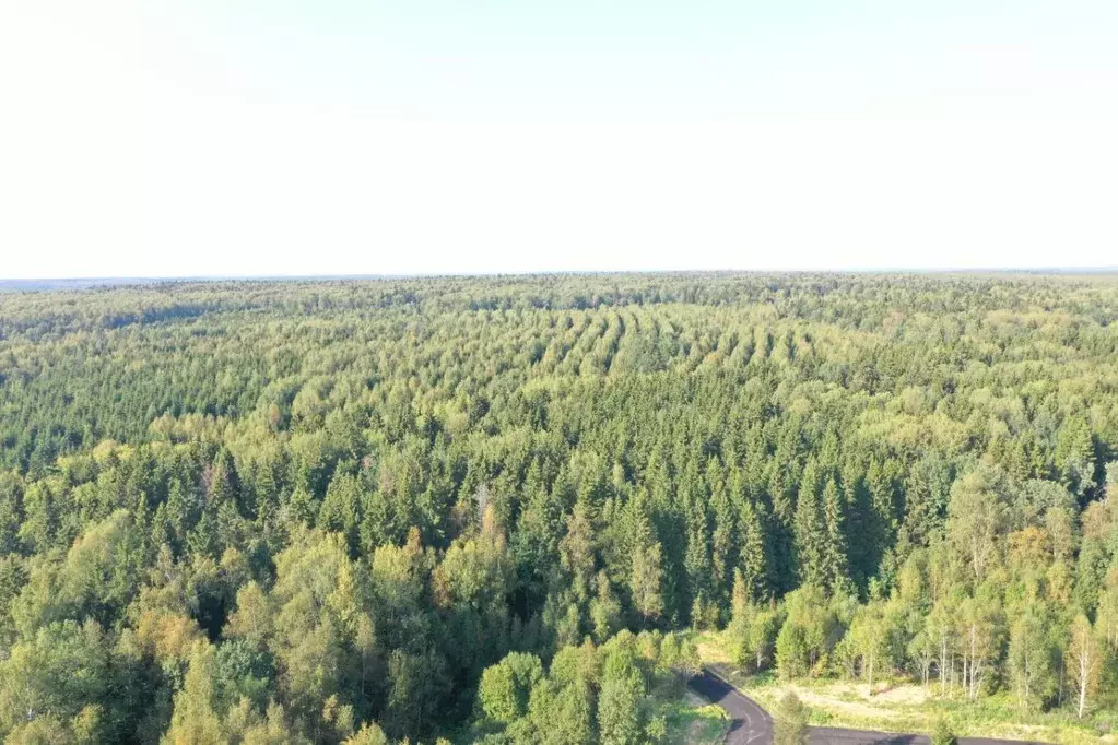 участок в московская область, сергиево-посадский городской округ, с. . - Фото 1