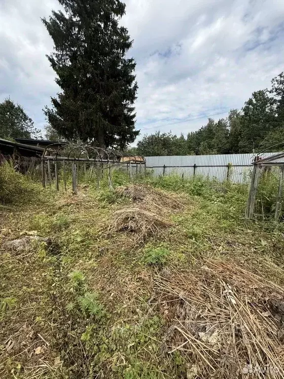 Участок в Московская область, Щелково городской округ, Березка СНТ ул. ... - Фото 2