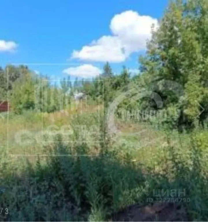 Участок в Воронежская область, Семилуки Боярская ул. (10.0 сот.) - Фото 2