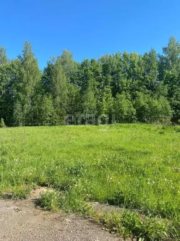 Участок в Московская область, Подольск городской округ, Романцево тер. ... - Фото 0