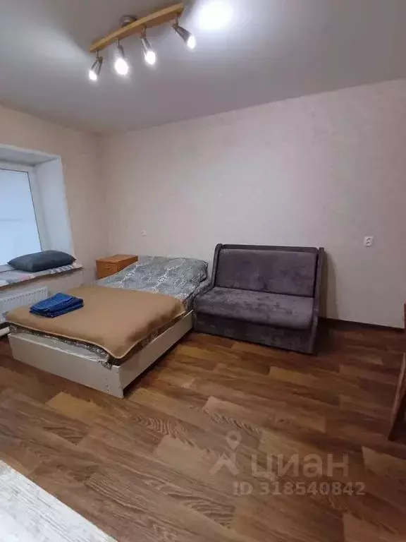 Студия Нижегородская область, Нижний Новгород Трудовая ул., 3 (21.0 м) - Фото 0