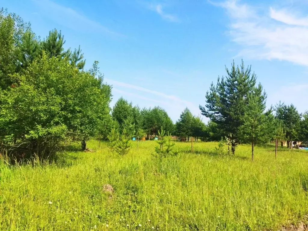 Участок в Тульская область, Ясногорский район, Иваньковское с/пос, ... - Фото 2