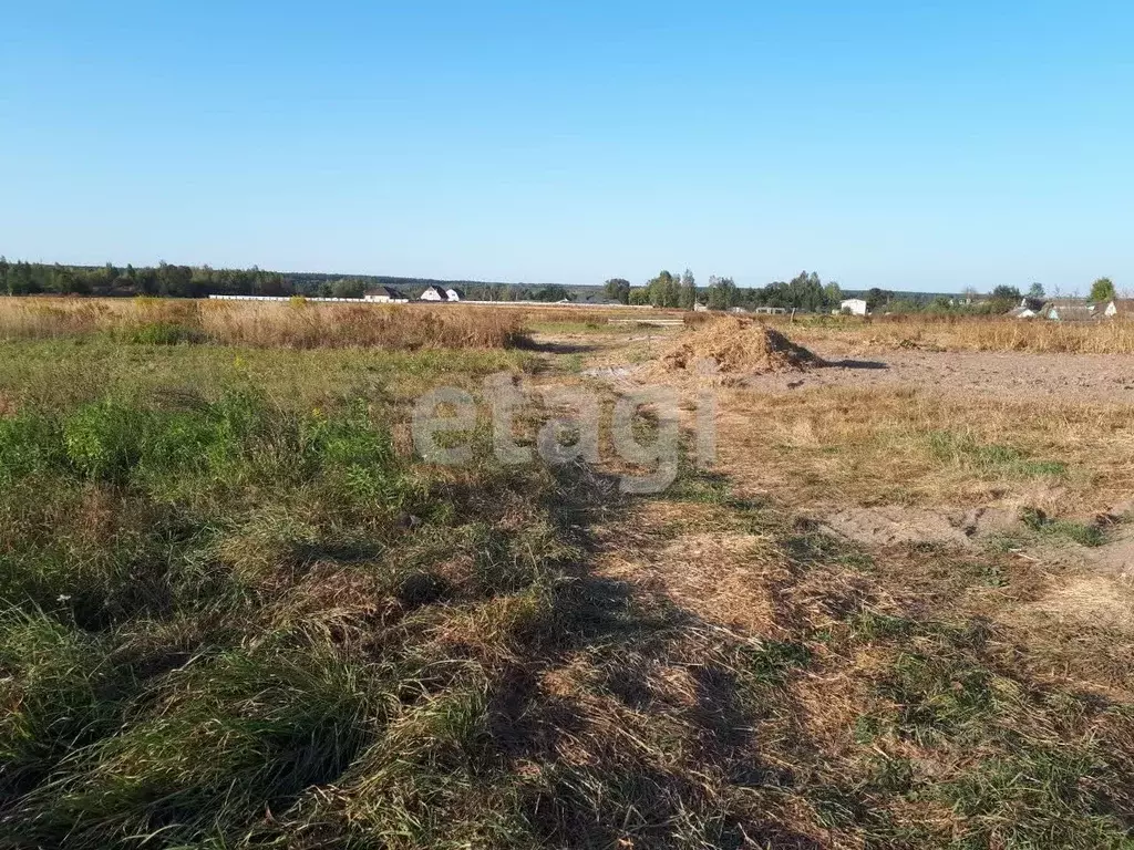 Участок в Брянская область, Брянский район, Отрадненское с/пос, с. ... - Фото 1