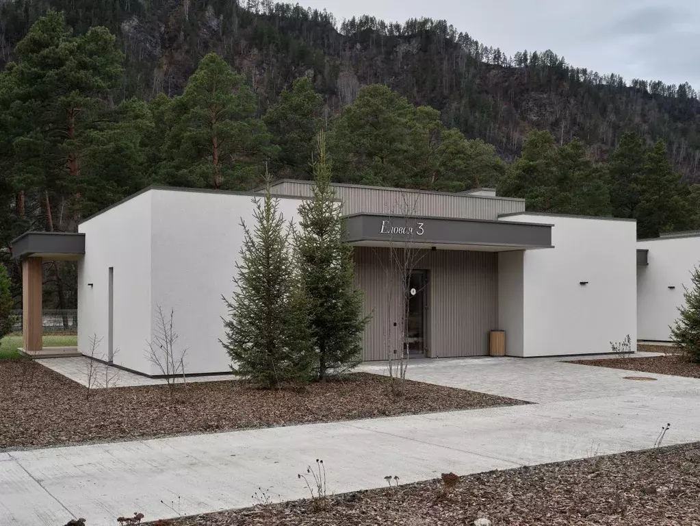 Коттедж в Алтай, Чемальский район, с. Чепош ул. Еловая (114 м) - Фото 1