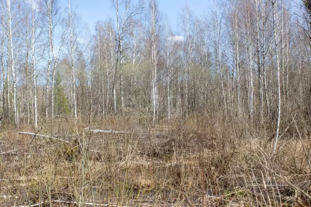 Участок в Тюменская область, Тобольск Микрорайон усадьба,  (10.0 сот.) - Фото 0