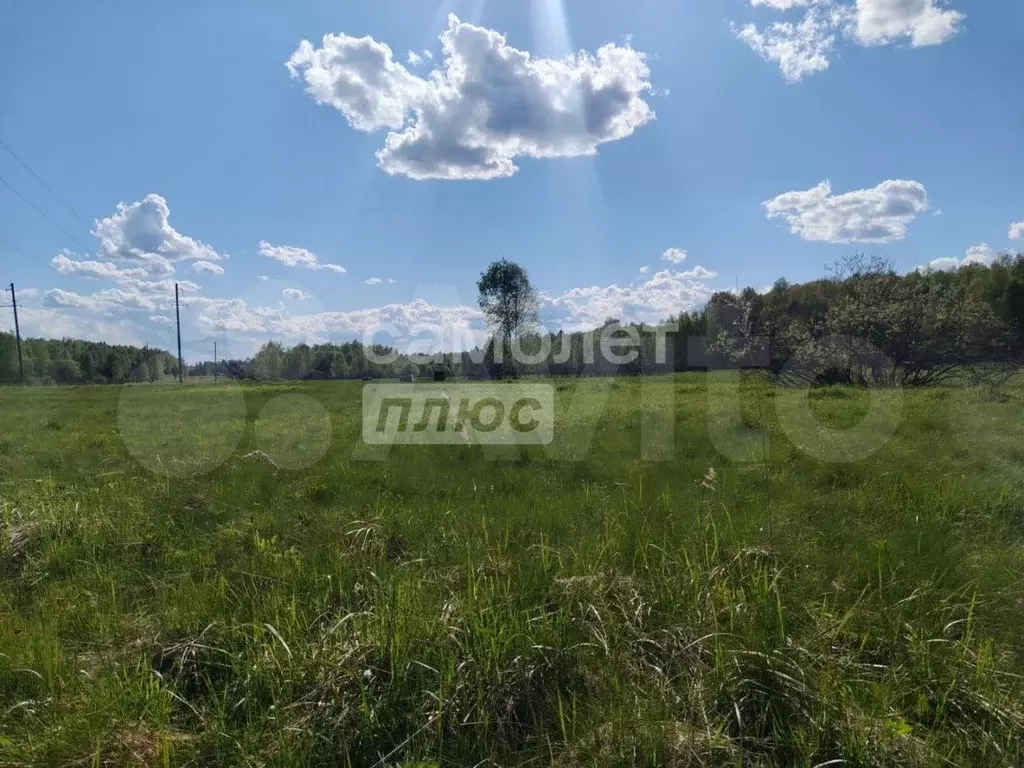 Участок 3,18 га (СНТ, ДНП) - Фото 1