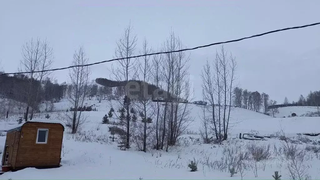 Участок в Алтайский край, Алтайский район, с. Нижнекаянча ул. ... - Фото 1