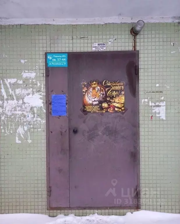 2-к кв. Омская область, с. Азово ул. Российская, 39 (91.0 м) - Фото 2