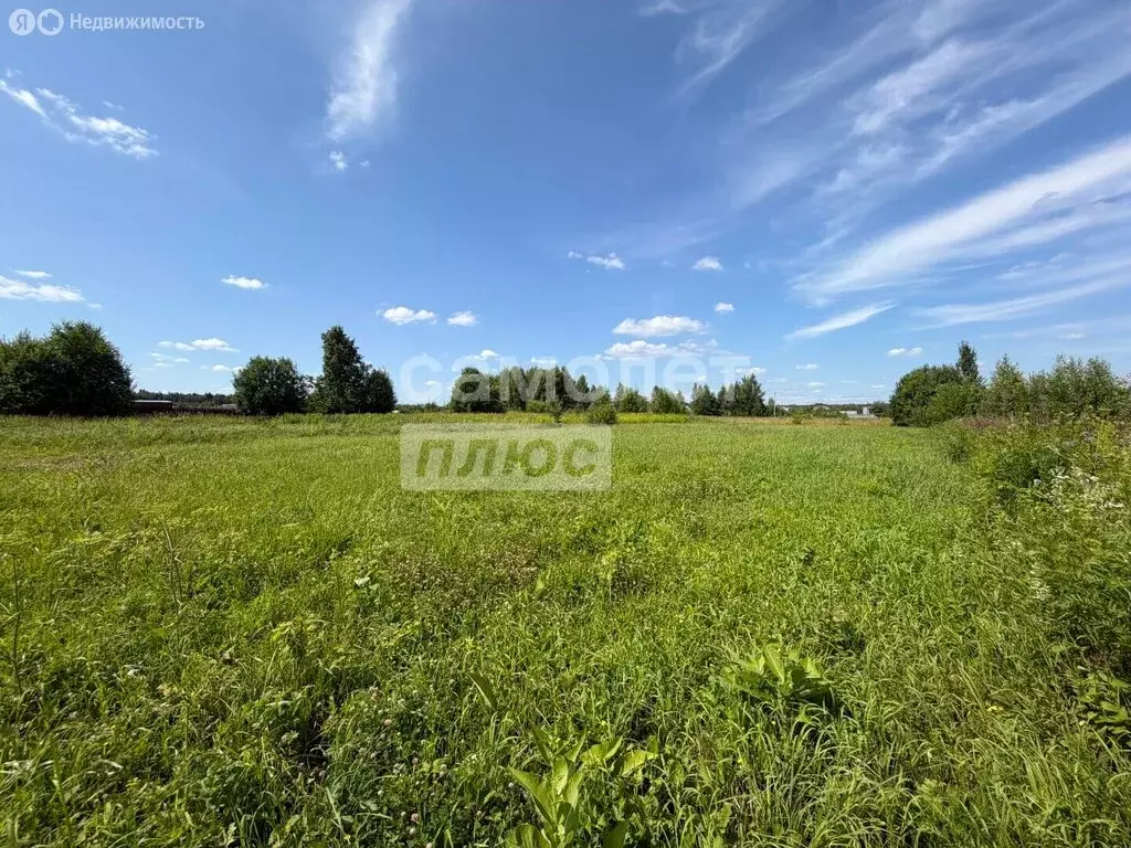 Участок в деревня Нолька, Центральная улица (19 м) - Фото 1