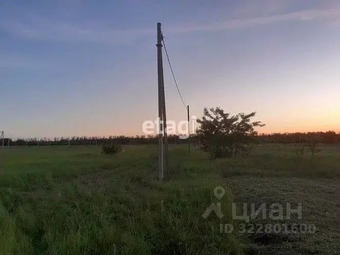 Участок в Ростовская область, Аксайский район, Старочеркасское с/пос, ... - Фото 1