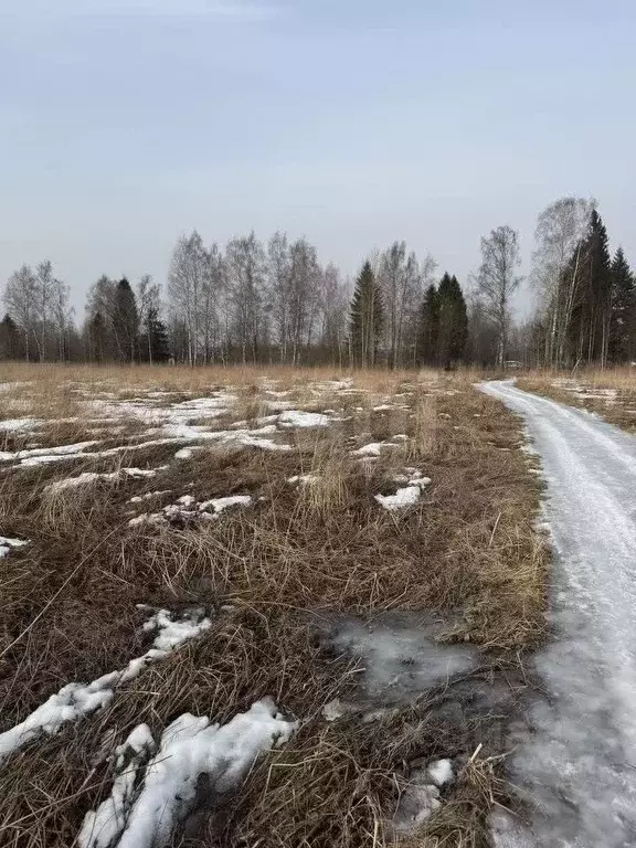 Участок в Вологодская область, д. Марфино ул. Прибрежная (14.6 сот.) - Фото 1