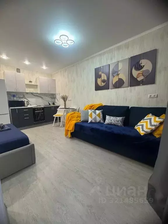 Студия Башкортостан, Уфа ул. Шафиева, 3 (27.0 м) - Фото 2