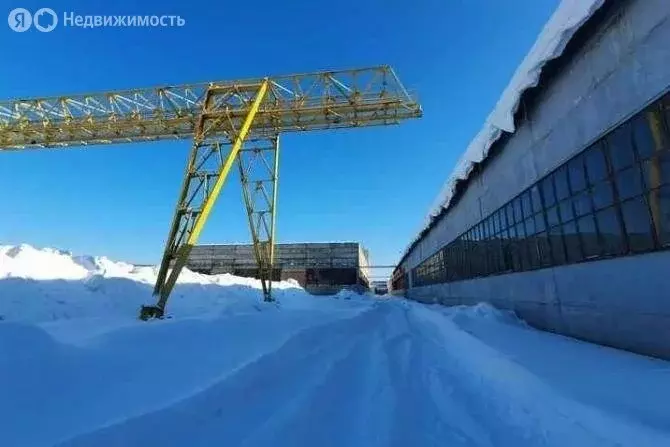 Помещение свободного назначения (1000 м) - Фото 1