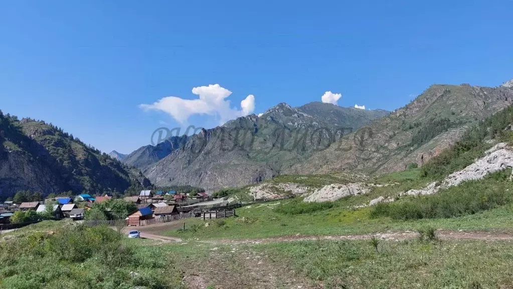 Участок в Алтай, Чемальский район, с. Еланда Новая ул. (24.0 сот.) - Фото 2