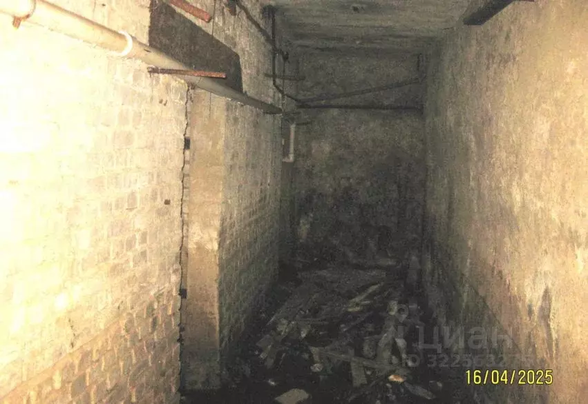 Помещение свободного назначения в Нижегородская область, Нижний ... - Фото 2