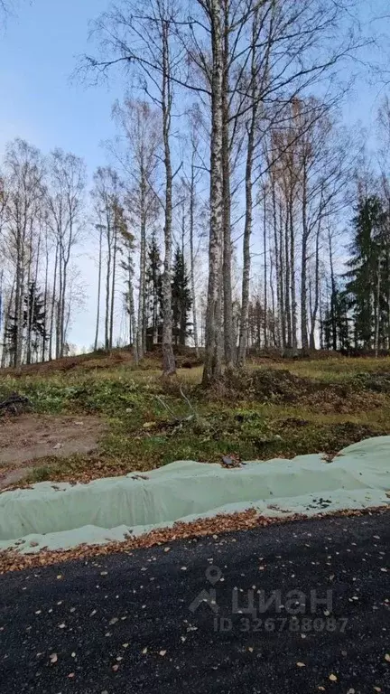Участок в Ленинградская область, Всеволожский район, Куйвозовское ... - Фото 2