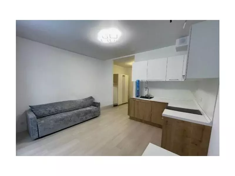 Квартира-студия: Тюмень, улица Юрия Рогачева, 9к1 (24.1 м) - Фото 1