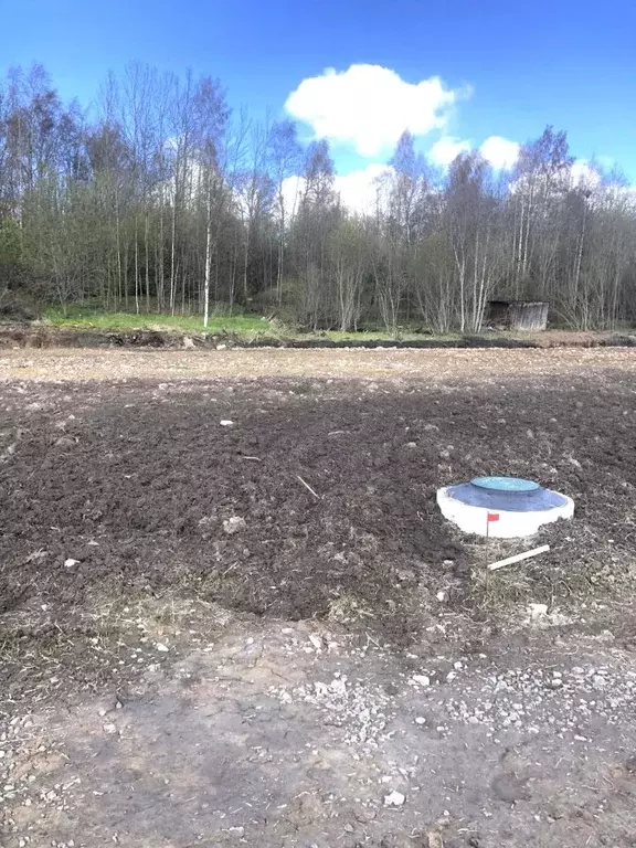 Участок в Ленинградская область, Всеволожский район, Бугровское ... - Фото 0