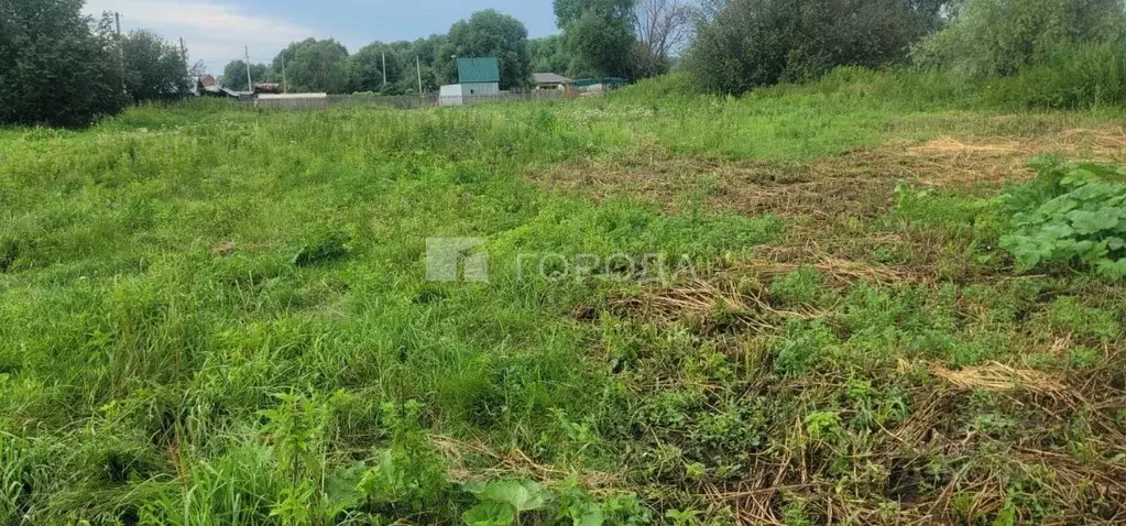 Участок в Новосибирская область, Новосибирский район, с. Криводановка ... - Фото 0