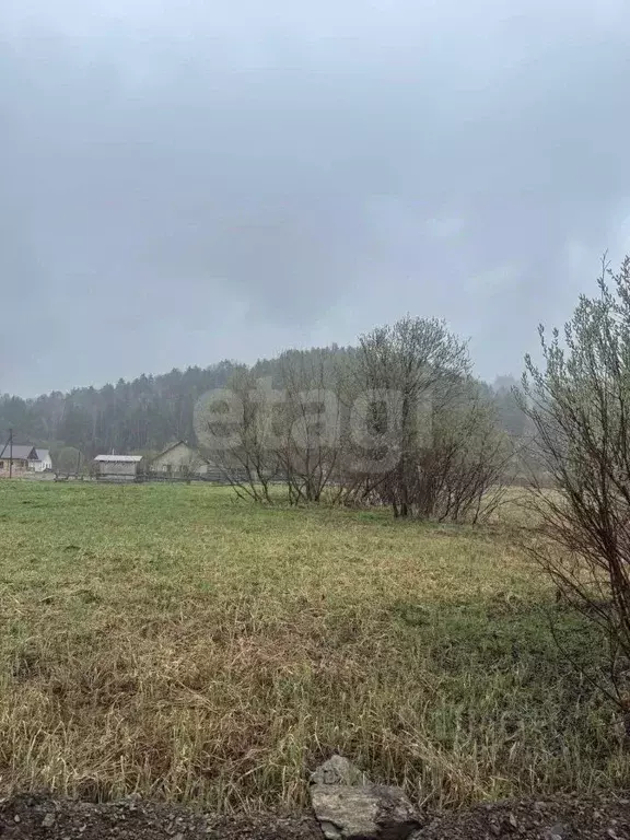 Участок в Алтай, Майминский район, Поселок филиал ул. Мира, 25 (10.0 ... - Фото 1