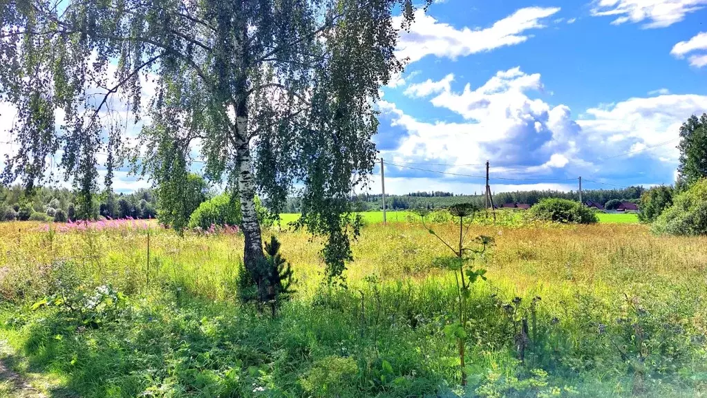 Участок в Московская область, Дмитровский городской округ, д. Поповка ... - Фото 0